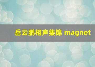 岳云鹏相声集锦 magnet